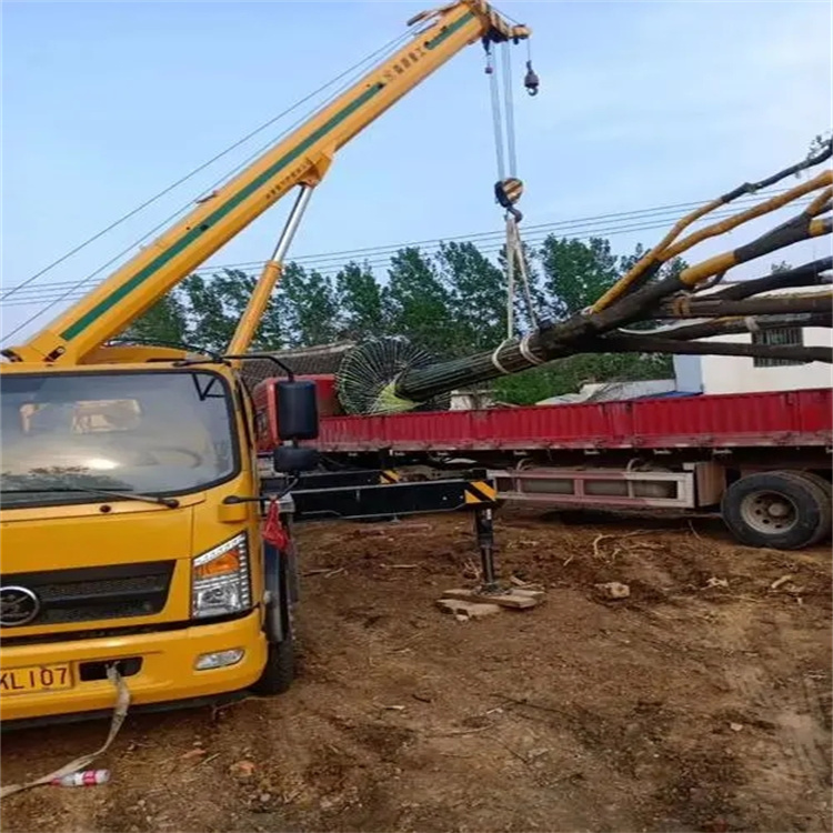 小板镇100吨吊车租赁费用怎么算？3大关键因素+省钱技巧全解析